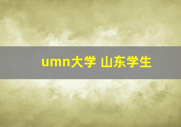 umn大学 山东学生